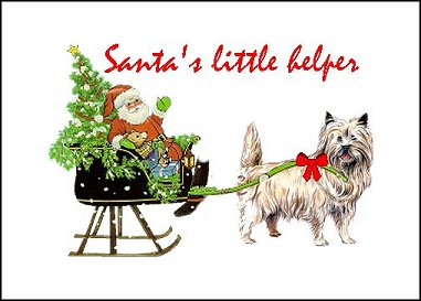 Cairn Terrier Christmas Cards Seals Address Labels